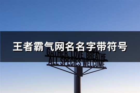 王者霸气网名名字带符号(优选241个)