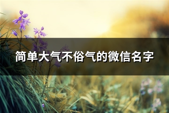 简单大气不俗气的微信名字(共1045个)