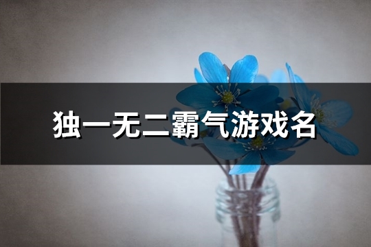 独一无二霸气游戏名(优选316个)