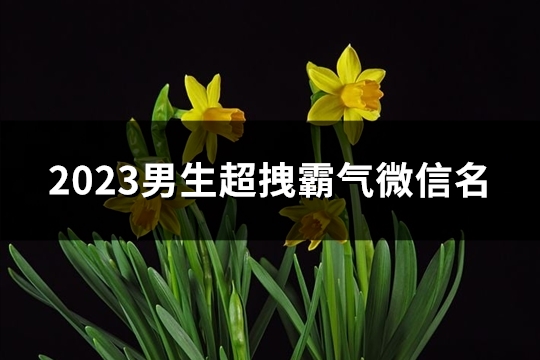 2023男生超拽霸气微信名(优选4177个)