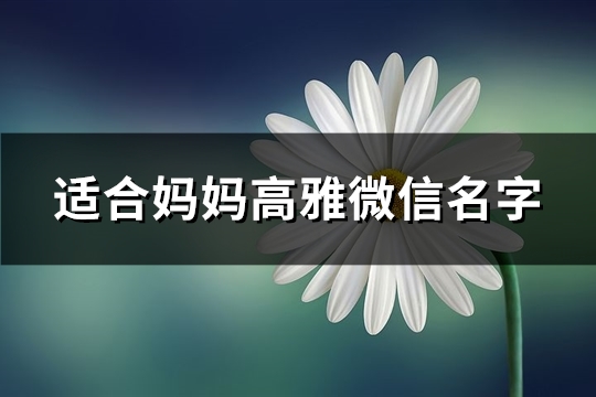 适合妈妈高雅微信名字(共80个)