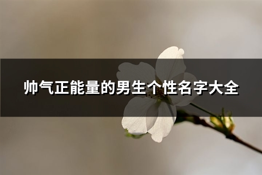 帅气正能量的男生个性名字大全(138个)