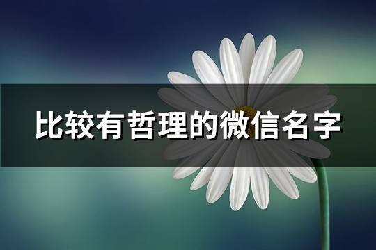 比较有哲理的微信名字(优选368个)