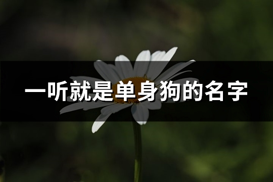 一听就是单身狗的名字(453个)