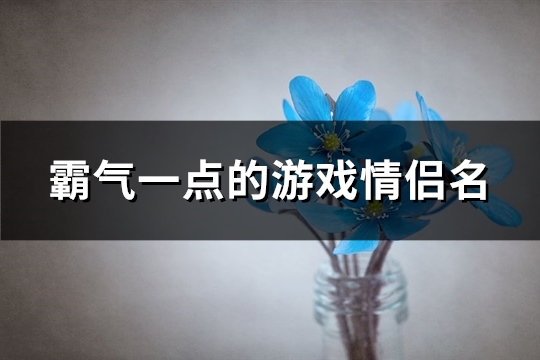 霸气一点的游戏情侣名(精选373个)