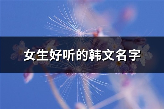 女生好听的韩文名字(210个)