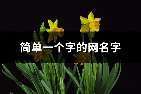 简单一个字的网名字(共398个)