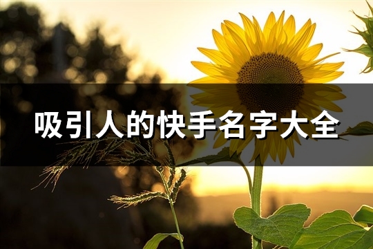 吸引人的快手名字大全(共214个)