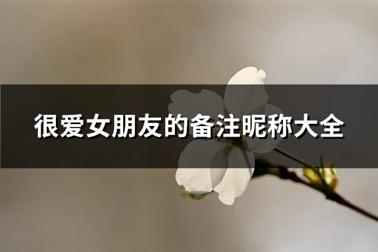 很爱女朋友的备注昵称大全(精选93个)