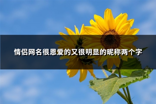 情侣网名很恩爱的又很明显的昵称两个字(优选441个)