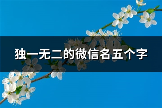 独一无二的微信名五个字(共296个)