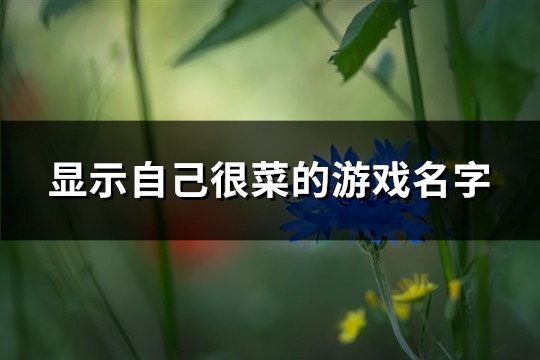 显示自己很菜的游戏名字(共207个)