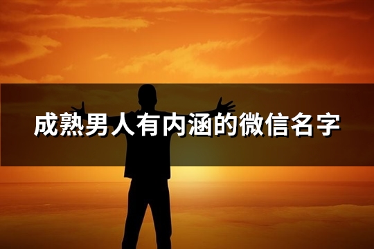 成熟男人有内涵的微信名字(273个)