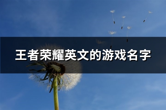 王者荣耀英文的游戏名字(共84个)