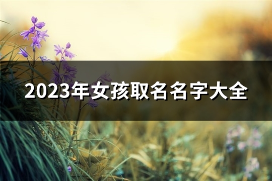 2023年女孩取名名字大全(精选331个)