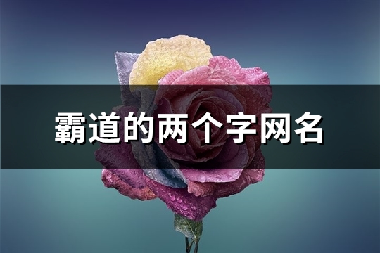 霸道的两个字网名(共938个)