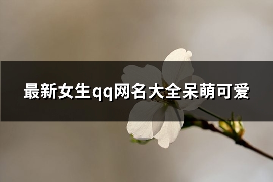 最新女生qq网名大全呆萌可爱(精选885个)