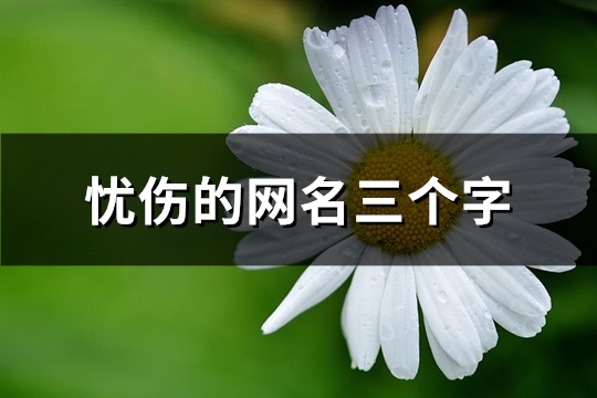 忧伤的网名三个字(共769个)