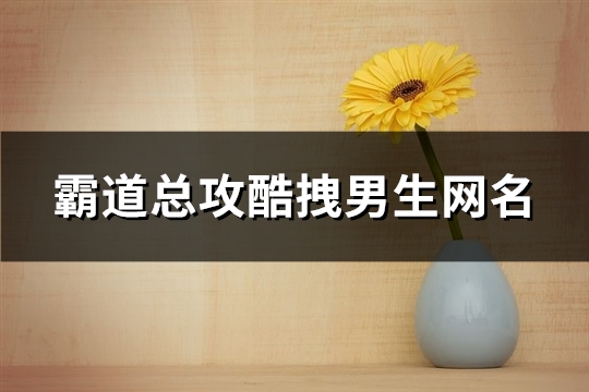 霸道总攻酷拽男生网名(共558个)