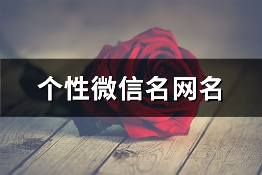 个性微信名网名(818个)
