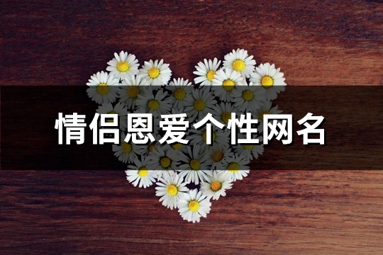 情侣恩爱个性网名(259个)