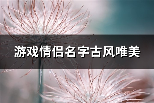 游戏情侣名字古风唯美(共110个)