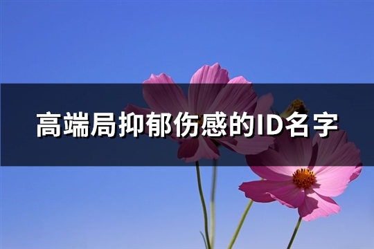 高端局抑郁伤感的ID名字(精选284个)