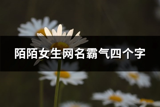 陌陌女生网名霸气四个字(精选310个)