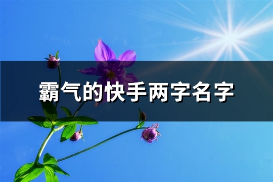 霸气的快手两字名字(181个)