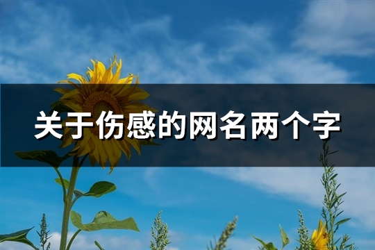 关于伤感的网名两个字(精选795个)