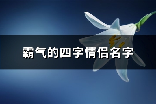 霸气的四字情侣名字(共355个)