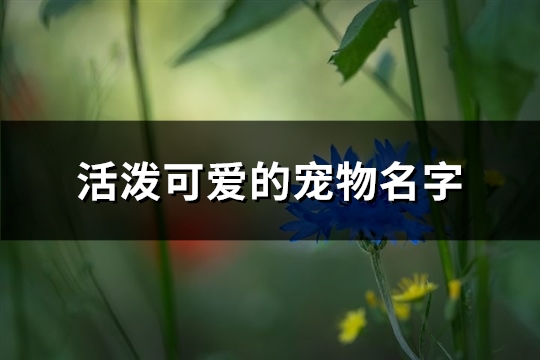 活泼可爱的宠物名字