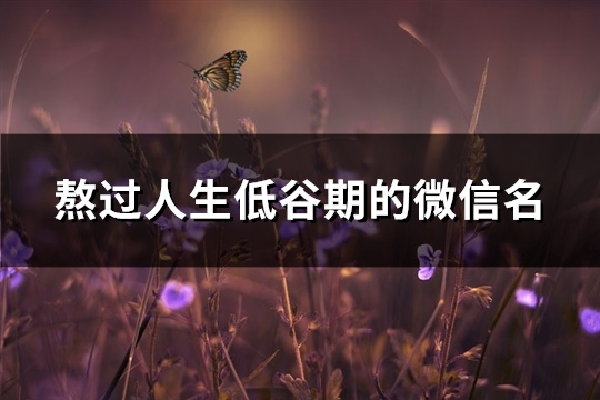 熬过人生低谷期的微信名(85个)