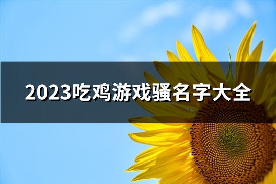 2023吃鸡游戏骚名字大全(优选659个)