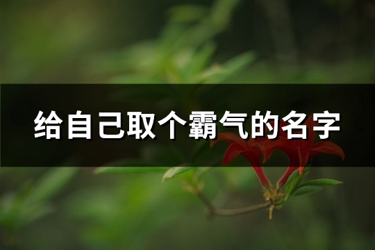 给自己取个霸气的名字(优选417个)