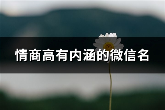 情商高有内涵的微信名(386个)