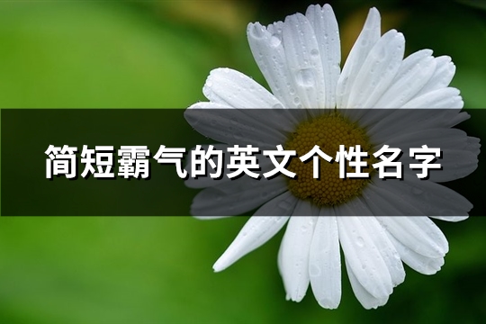 简短霸气的英文个性名字(共116个)