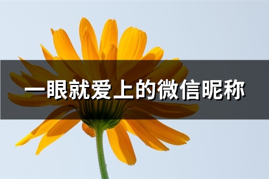 一眼就爱上的微信昵称(403个) 一眼就爱上的微信昵称(403个)