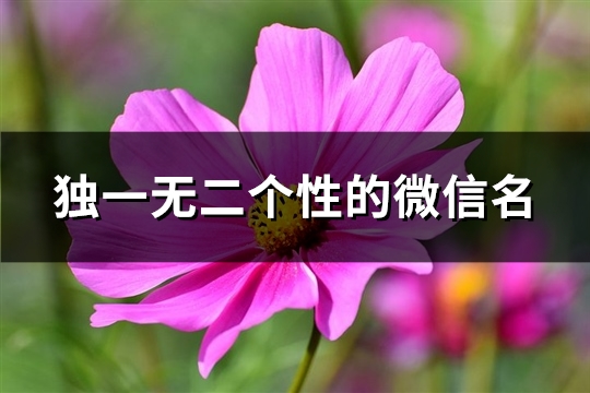 独一无二个性的微信名(993个)
