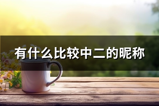 有什么比较中二的昵称(共429个)
