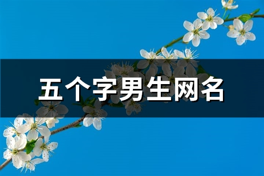 五个字男生网名(精选316个)