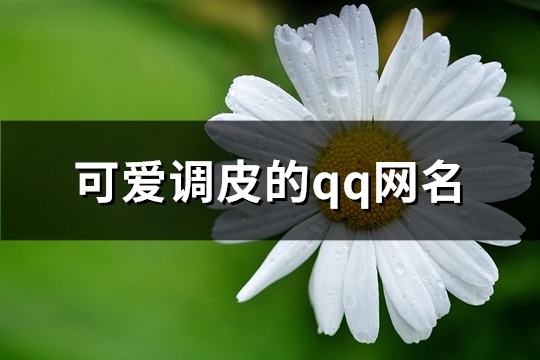 可爱调皮的qq网名(优选663个)