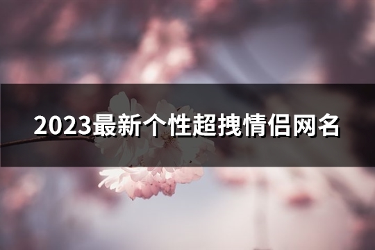 2023最新个性超拽情侣网名(244个)