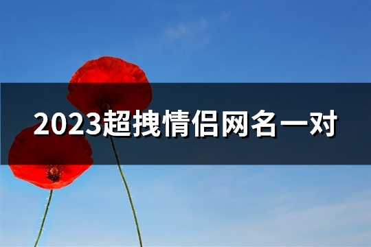 2023超拽情侣网名一对(精选321个)