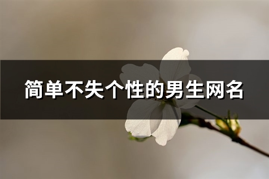 简单不失个性的男生网名(共1085个)