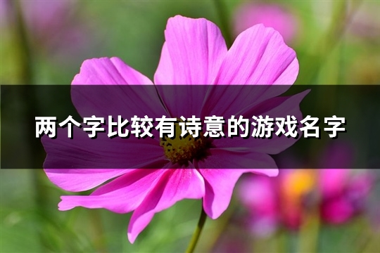 两个字比较有诗意的游戏名字(优选410个)