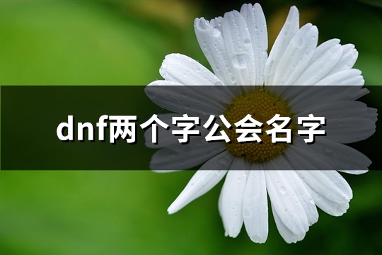 dnf两个字公会名字(共141个)