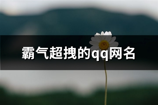 霸气超拽的qq网名(293个)