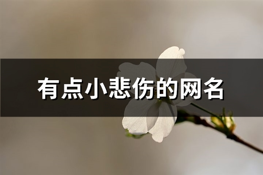 有点小悲伤的网名(优选476个)