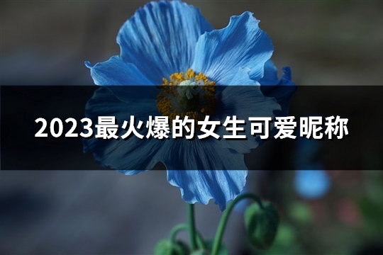 2023最火爆的女生可爱昵称(优选572个)